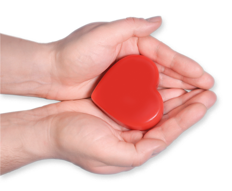 Hands with a heart
